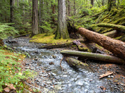 A nice place to take a break.