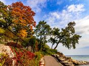 Fall colors next to Lake Ontario in Oakville
