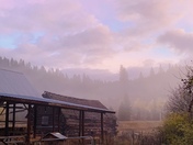 Mystic Morning