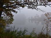 Foggy morning in Cootes Paradise.