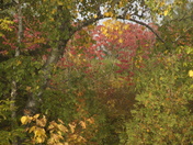 The wonders of Autumn