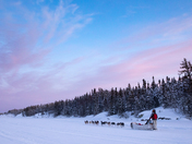 A sled dog team passing by on Grace Lake near Yellowknife