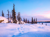 Northern ambiance