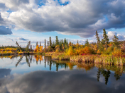 Fall ambiance near Yellowknife