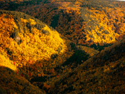 Autumn bliss along the Cabot Trail.