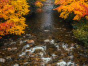  Cape Breton's Magic