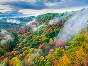 fog raised from valley of dundas peak with splendid fall colors