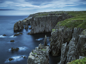 The Cove