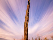 Threading the Needle