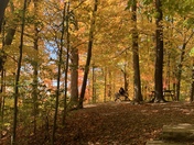 Fall magic