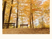Fall magic