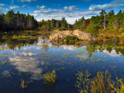 Afternoon Reflections