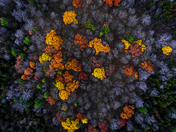 Fall Wave