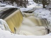 Forest Water