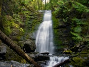 Whitecroft Waterfall