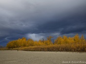 sudden storm