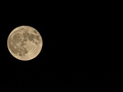 Blue moon  