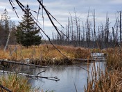 Something beautiful is always close by.