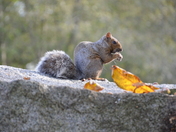 "You wanna see how I eat?"