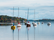 Colours of Mahone Bay