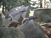 "Let's guard our territory"