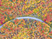 Autumn Road