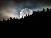 Halloween moon