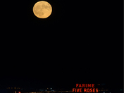 Blue Moon over Montreal