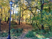 previous entry