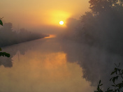 Clam sunrise 