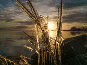 Cold sticks 