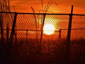 Sunset behind a fence  in Cootes Paradise.