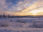 Winter Eagle Plains
