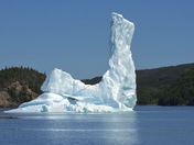Newfoundland Iceberg