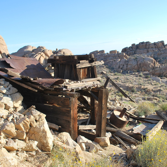 Joshua Tree National Park