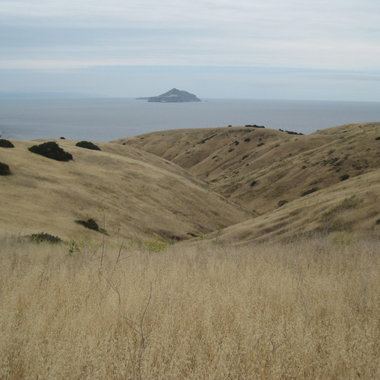 Channel Islands National Park