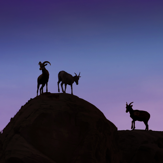 Nerfetti Recreation Area