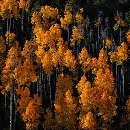  Uinta-Wasatch-Cache National Forest 