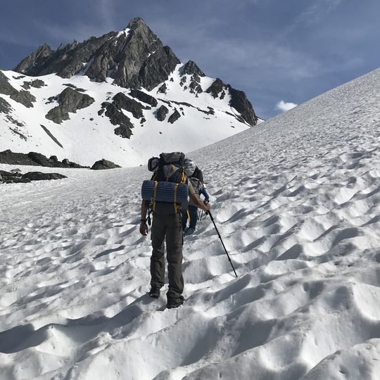 Humboldt-Toiyabe National Forest