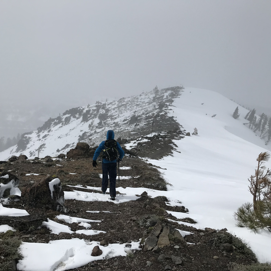 Tahoe National Forest