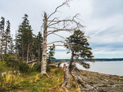 Natural Wonder