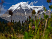 Mt. Robson