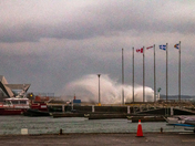 A Windy Day Kingston,ON
