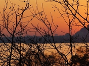 Orange sky