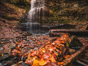 Falls