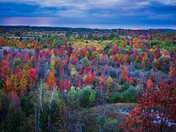fall view in Mono cliff
