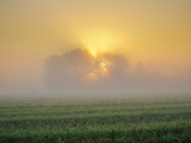 In the fog 