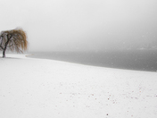 First snow at Lakeside park