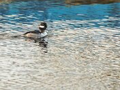 Pick a Spot to Focus