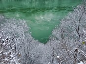 Looking down the Gorge at trees with snow to the Niagara River. 